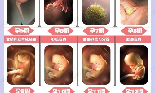 喝了米酒身上痒起疙瘩-【喝米酒皮肤痒怎么治疗】喝了米酒身上痒怎么回事 - 喝了米酒身上痒网